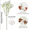Babys Breath Artificial Flowers for Indoors Fake Plastic Plants Faux Shrubs Greenery Wheat Grass for Spring Summer Window Box Office Table Kitchen Home Decoration (12, White)